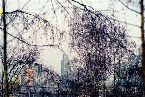 picture city branches|Picture City .